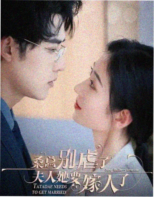 母亲的旧相机 剧照