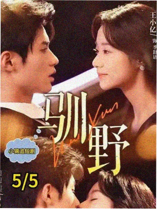 母亲的海岸线 剧集海报
